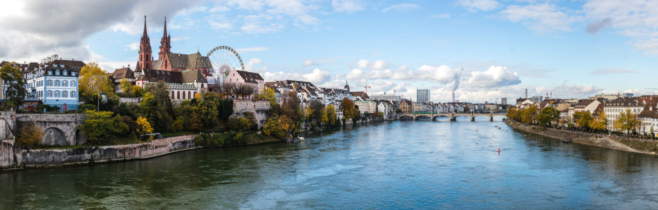Basel Flug